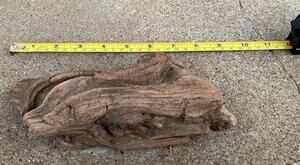Ohio River Driftwood 8.25"x4.5"x2.25"